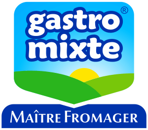 LOGO-GASTROMIXTE-RGB-2 (1)